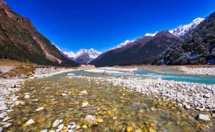 North Sikkim yumthang valley photo